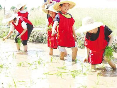 从“独唱”到“合唱” 鄂州峒山村打造中国式乡愁发展样板