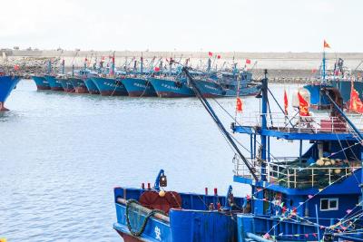 千帆竞发齐争“鲜”——福建开渔一线见闻