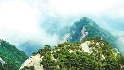 黄冈深入践行“两山”理念——  绿水青山间的富民答卷