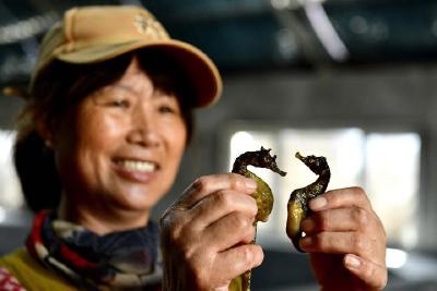 镜观·回响丨坚持以人为本 推进共同富裕