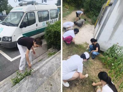 黄州区禹王社区卫生服务中心开展爱国卫生集中整治行动