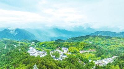 英山县“宠客模式”带来游客量激增—— 文旅康养续薪火  满城清凉客自来