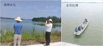 一条湖的清流回归之路