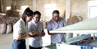 红安艾草“旅行记”——用物流链激活农产品“新生命”