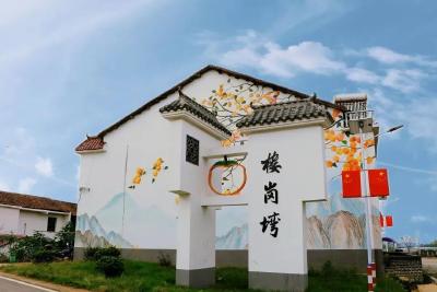 蕲春90后“兵支书”，让古柿“红”遍荆楚