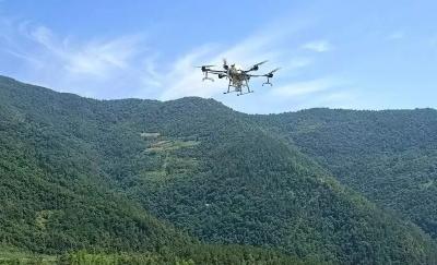 全国生态日丨神农架：91.16%森林覆盖率背后的生态答卷