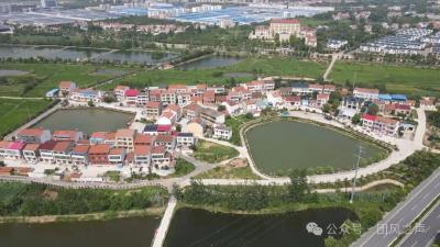 扎根乡土的青春答卷：90后书记引领白鹤林社区蝶变