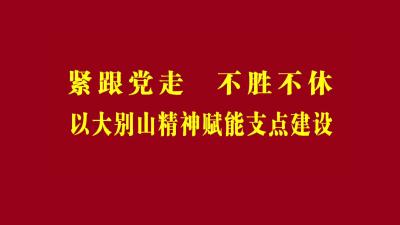 黄冈新闻20250811