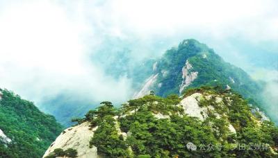护好大别山 赚足“生态钱”——全国“两山”实践创新基地的罗田实践