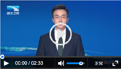锲而不舍落实中央八项规定精神·办实事解难题丨黄冈：数字平台架桥梁 返乡创业路更宽