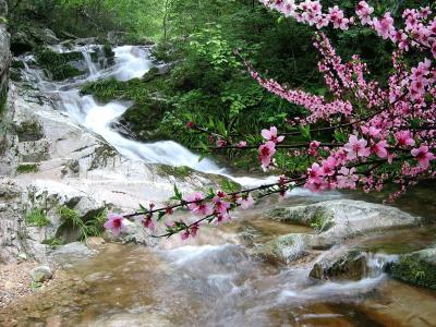 来这里旅游带上医保卡，好风景、好空气、好医好药打包卖