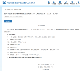 9980万落槌！黄冈临空2024-3号地块摘牌赋能空港城宜居