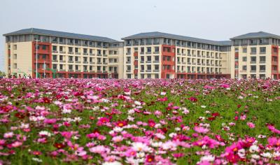 从环境到心灵全维度护航，黄冈科技职业学院“暖力量”育人——服务如诗 守护如歌