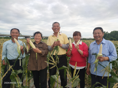 杨家湾村：三招激活“共富密码”特色产业带农闯新路