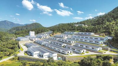 罗田大别山黑山羊产业园智能化饲喂系统高效运转