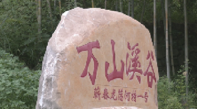 大招商 快建设 促发展——狮子镇全力冲刺全年经济目标 