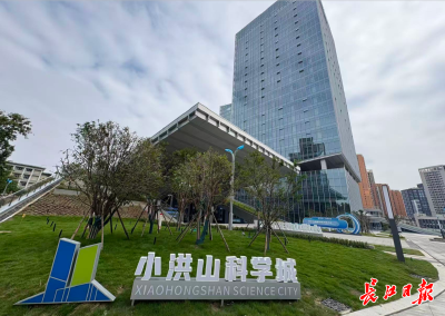 创业者在这集聚，有人把企业从北京搬到武汉