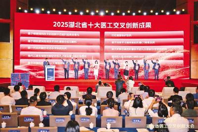 2025湖北十大医工交叉创新成果揭晓 多个项目全球领先