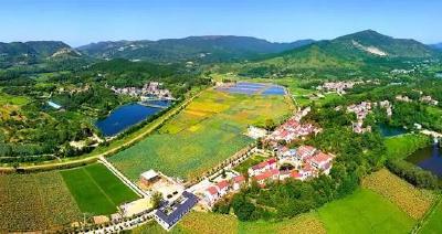 团风县朴树大湾村：文明乡风润沃土 和美乡村入画来