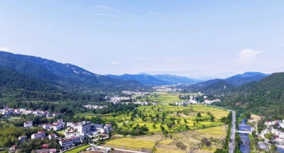 稻浪翻金绘丰收！张家畈镇以农旅融合奏响文旅小镇振兴曲