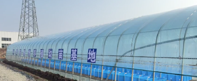 万丈湖农场：农电共享基地架起“连心桥”联农带农绘就共富景