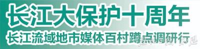 云雾深处的“零碳”密码