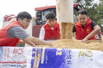 党旗在基层一线高高飘扬丨护民助农暖人心——记抗洪抢险中的四川蓬溪县红江镇“红色冲锋队”