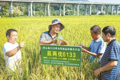 英山农业农村局送技术到田间地头