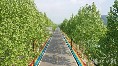武穴藏了条会发光的公路！450盏路灯点亮11.8公里秋日童话，速收藏！