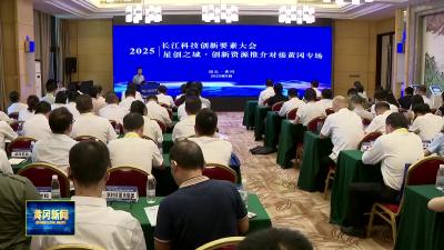 2025长江科技创新要素大会 星创之城·创新资源推介对接黄冈专场成功举办