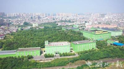 蕲春“甬黄携手”共探中医药文旅合作