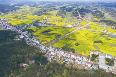 绿见荆门丨仙居：以绿生金 近悦远来