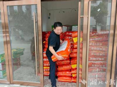 九月育苗忙 蕲春1.8万亩“致富花”待发