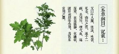 全网浏览量超30亿，蕲春的它凭啥这么火？