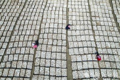 黄冈再添殊荣！全国仅3个！全省唯一！