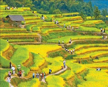 “演出＋”“赛事＋”“科技＋”……假期文旅市场持续升温  文旅场景上新 消费活力焕新