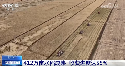 秋日沃野铺展好“丰”景 机械化助力让乡村振兴跑出“加速度”