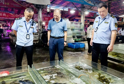 团风县开展“长江禁捕 打非断链”集中整治行动