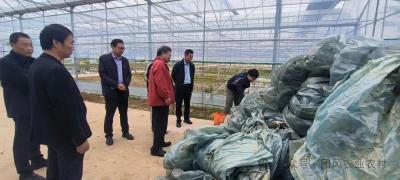 团风县2024年地膜科学使用回收项目顺利通过市级验收 