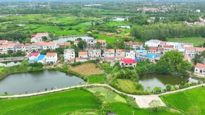 弃商从农！90后“专利哥”把论文写在家乡土地上