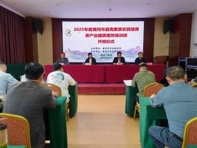 培育“领头雁”，赋能茶产业！市农科院举办市直高素质农民培育茶产业提质增效培训班