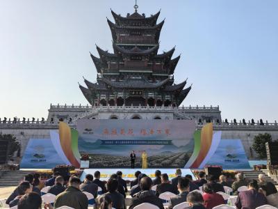 品牌引领 标准赋能 菊香满城  第十三届麻城市菊花文化旅游季 暨第三届王叔和中医药文化周开幕