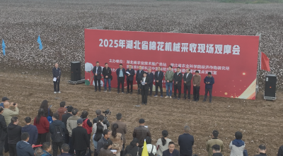 机械采收强助力棉田奏响“丰收曲”  ——湖北省棉花机械采收现场观摩暨技术培训会在我市成功举办