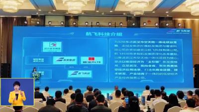 麻城入列武汉低空航线 低空经济迎新机