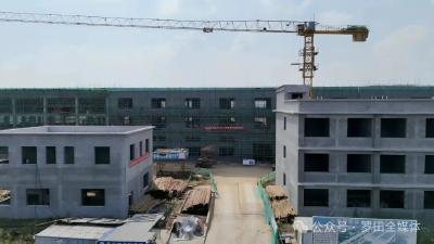 九震智造（湖北）轴承有限公司建设项目快马加鞭 