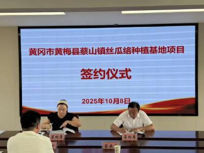 “土丝瓜”变形记——看甬黄合作如何点“络”成金