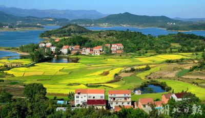 武穴花桥镇：精绘“千万工程”新画卷 打造宜居宜业和美乡村