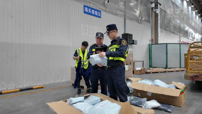 前8月新疆乌鲁木齐进出境邮件同比增长超200%