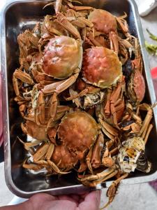 四年逆袭！空壳村靠一只蟹“横行”致富路