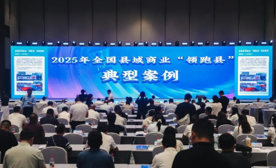 蕲春县入选 2025年全国县域商业“领跑县”典型案例